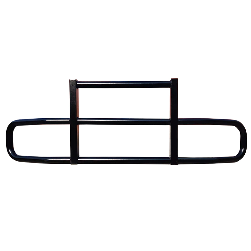 Protector de cepillo de hierro