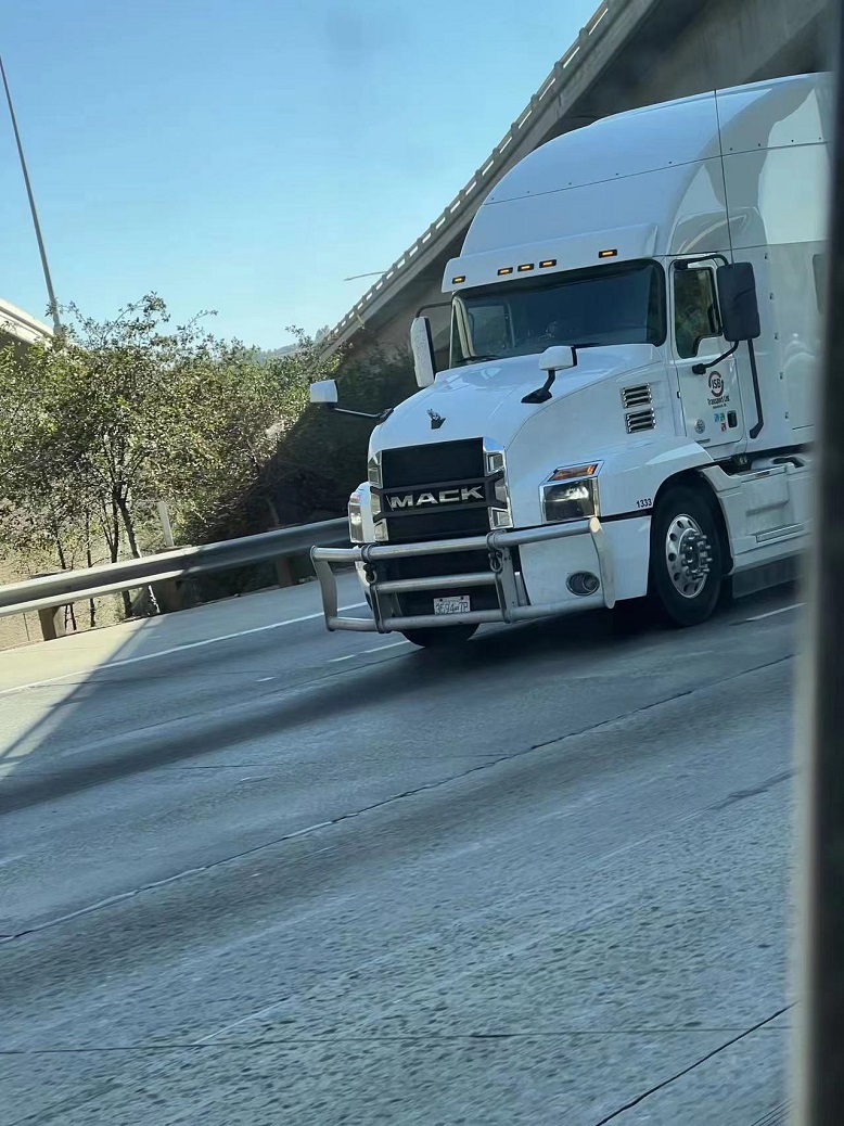 Freightliner Cascadia Deer Guard per semirimorchio Freightliner Cascadia Deer Guard per semirimorchio