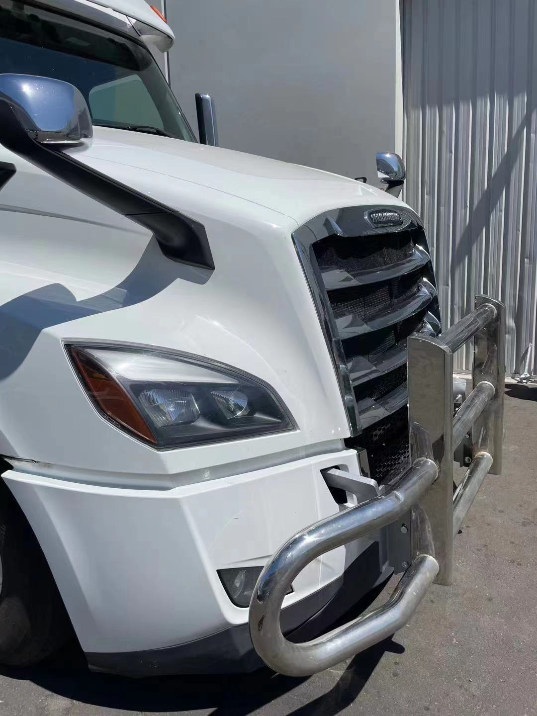 Freightliner Cascadia 2017 Truck Grille Guards