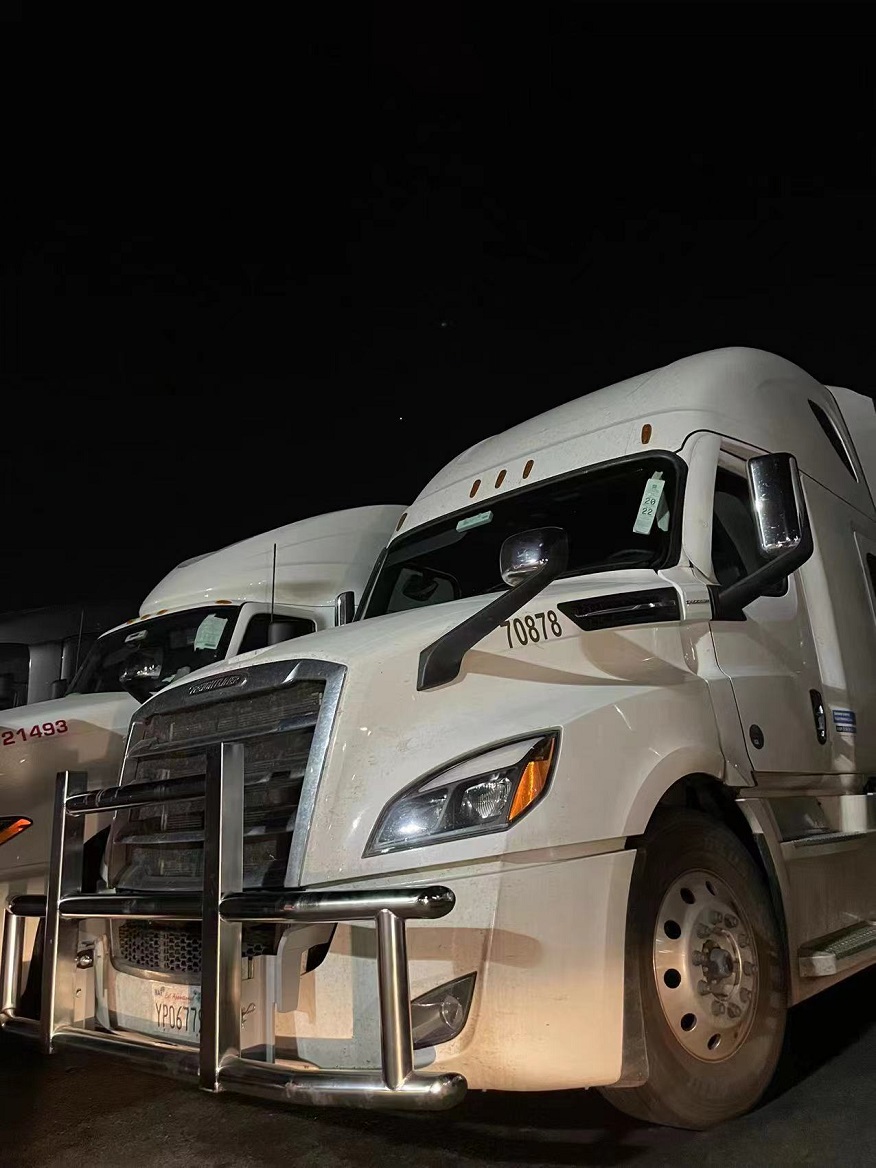 Freightliner Freightliner Cascadia Deer Guard di nuova generazione