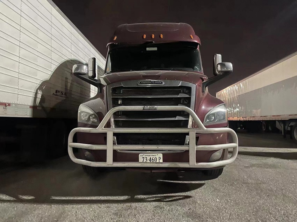 International Prostar Deer Guard