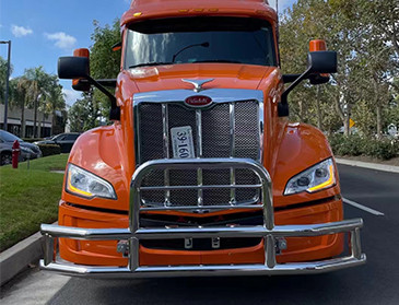 Stainless Steel Brush Guard