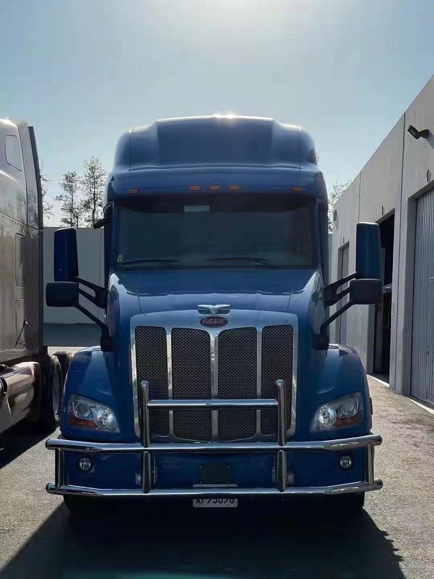 Protectores de parrilla para camión Freightliner Cascadia 2010