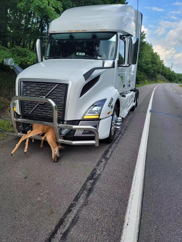 Freightliner Cascadia LKW-Schubstangen